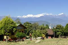 Indien, Trekking in Sikkim, das Kanchenjunga-Massiv von Darjeeling. Foto: Anni Edenstrasser.