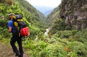 Komfort-Trekking Bolivien. Choro-Treck in den Amazonas-Dschungel.