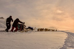 Hundeschlittenfahren auf Grönland. Foto: Robert Peroni.