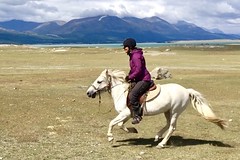 Pferdetrekking, reiten in der Mongolei. Foto: Christine Theodorovics.