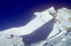 Gipfelgrat am Manaslu, 8163 m. Foto: Günther Härter.
