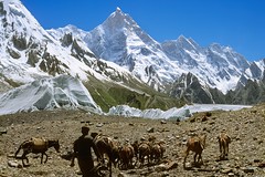 Pakistan, Karakorum-Trekking zum Concordia-Platz. Foto: Archiv Härter.