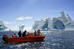 Robben- und Walewatching bei Tiniteqilaq auf Grönland. Foto: Ulrike Fischer.