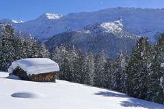Top Wintertag in Südtirol.Foto: Günther Härter.