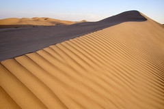 Trekkingreise Oman mit Wüstencamp in Wahiba Sands. Foto: Alfred Fuchs.