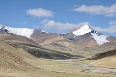 Indien, Trekkingtour im Hochland von Rupshu mit Mentok Kangri, 6250 m.