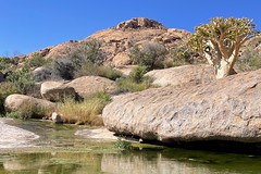Wasserstelle am Camp Place im Brandbergmassiv, Namibia. Foto: Günther Härter.