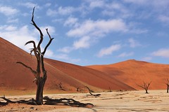 Wunderwelt der Sanddünen von Sussuvlei, Namibia.