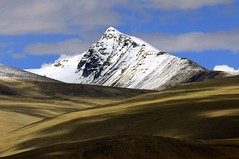 Indien, Trekkingtour auf dem Chang Tang in Ladakh. Foto: Bruno Baumann.