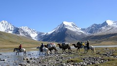 Karawane im Altai-Gebirge unterwegs zum Basislager des Mount Khuiten. Foto: Archiv Härter.