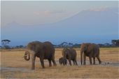 Safari im Amboseli-Nationalpark, im Hintergrund Mawenzi und Kilimanjaro. Foto: Günther Härter.