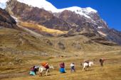 Bergsteigen Bolivien Sechstausender-Trilogie Huayna Potosí, 6088 m, Illimani, 6460 m, Nevado Sajama, 6542 m, Cerro Austria, Pequeno Alpamayo