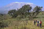 Besteigung Kilimanjaro Rongai-Route. Foto: Archiv Härter.