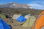 Trekking/Besteigung des Kilimanjaro über die Lemosho-Route. Camp Shira 2 mit Kibo (Gipfelaufbau Kilimanjaro). Foto: Günther Härter.