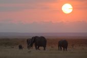 Safari im Amboseli-Nationalpark am frühen Morgen. Foto: Günther Härter.