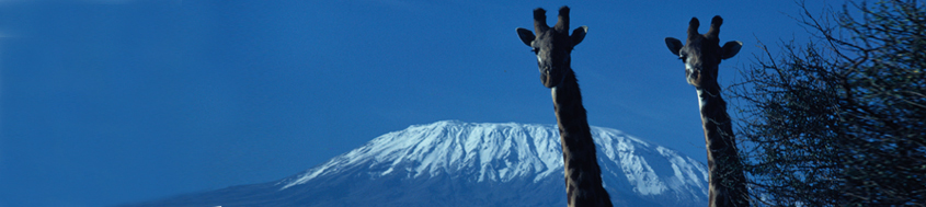 Trekking/Besteigung Kilimanjaro. Alles nur eine Frage der Perspektive. Foto: Bruno Baumann.