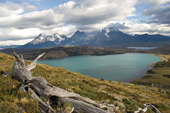 Komfort-Trekking Patagonien, Paine-Gruppe-Nationalpark. Foto: Günther Härter.