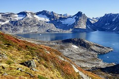Prächtige Herbstfarben auf Grönland bei Tasiilaq. Foto: Ulrike Fischer.