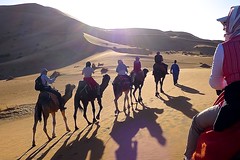 Reise Marokko-Königsstädte. Camp in der Wüste, Kamel-Safari. Foto: Günther Härter.